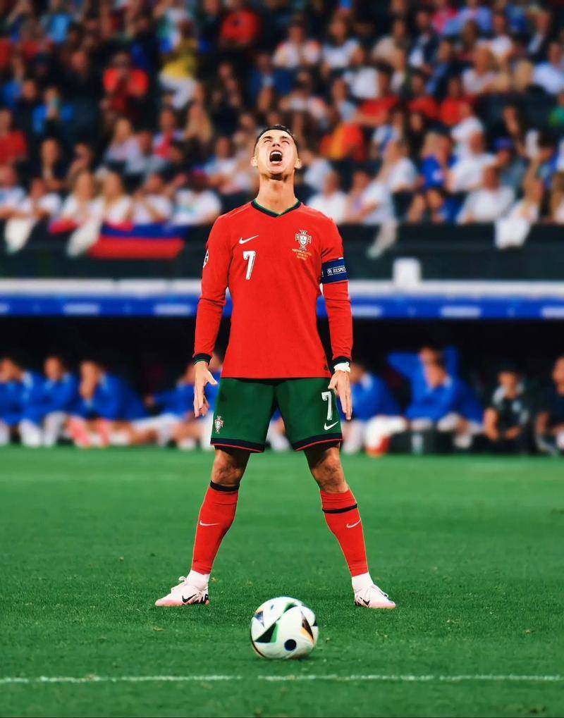 新看到了这 新看到了这